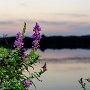 DSC_0221.jpg