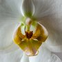 DSC_0225.jpg