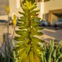 DSC_2292.JPG