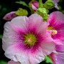 DSC_3632.jpg