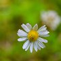 DSC_4124.jpg