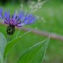 DSC_8970_DxO.jpg